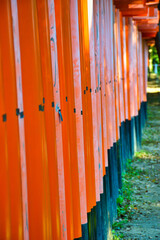 Fototapeta premium 京都 伏見稲荷大社 美しい朱色の鳥居 （日本京都府京都市） Kyoto Fushimi Inari Taisha Shrine famous for beautiful vermilion torii gates (Kyoto City, Kyoto Prefecture, Japan)