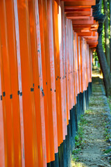 Fototapeta premium 京都 伏見稲荷大社 美しい朱色の鳥居 （日本京都府京都市） Kyoto Fushimi Inari Taisha Shrine famous for beautiful vermilion torii gates (Kyoto City, Kyoto Prefecture, Japan)