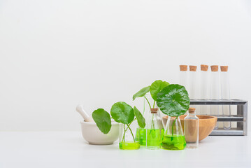 A glass beaker containing water and Centella asiatica decorated with erlenmeyer flask and round...