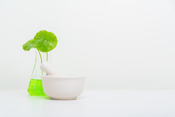 A glass beaker containing water and Centella asiatica decorated with erlenmeyer flask and round...