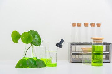 A glass beaker containing water and Centella asiatica decorated with erlenmeyer flask and round...