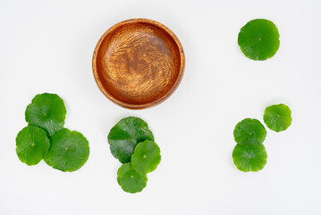Top view glass beaker containing water and Centella asiatica decorated with erlenmeyer flask and round podium