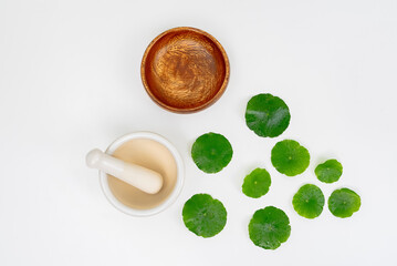 Top view glass beaker containing water and Centella asiatica decorated with erlenmeyer flask and round podium