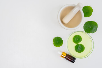 Top view glass beaker containing water and Centella asiatica decorated with erlenmeyer flask and round podium