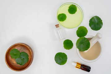 Top view glass beaker containing water and Centella asiatica decorated with erlenmeyer flask and round podium