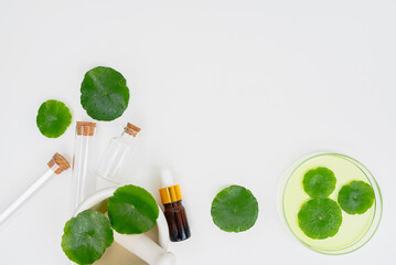 Top view glass beaker containing water and Centella asiatica decorated with erlenmeyer flask and...