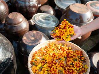 dried marigold flowers, dried flowers