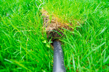 Emissions of chemicals and garbage into nature. A hose with an unknown capacity is directed into lush green grass. A black plastic pipe emerges from a green lawn.