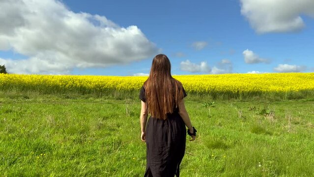 Black dress woman walk towards yellow rapeseed field. Free spirited girl with long brown hair from behind enjoys scottish blue sky white clouds green nature spring summer