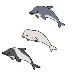 いろんなイルカ