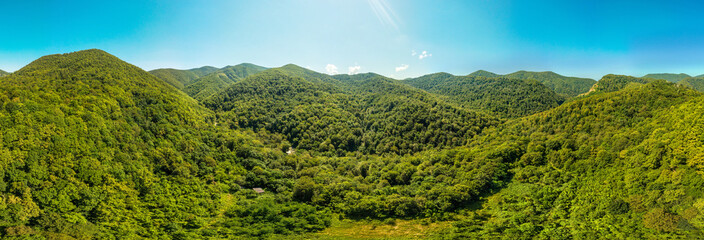 aerial panorama of a stream in a valley overgrown with green forest in the mountains of the Western...