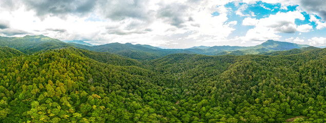 Panorama, , aerial, mountains, forest, gorge, caucasus, russia, tuapse, day, summer, drone, quadcopter, aerial photography