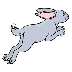 rabbit vector illustration