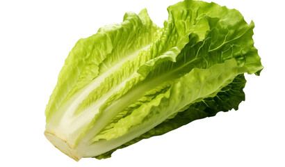  lettuce - 1