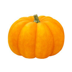 ハロウィンのかぼちゃ イラスト ジャックオランタン リアル 