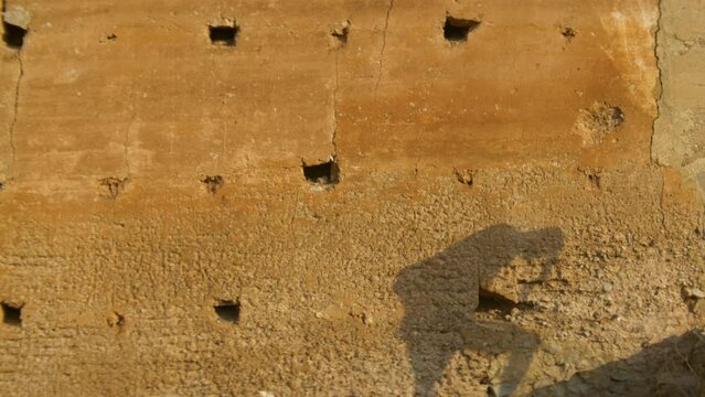 crazy shadow creature walking upstairs on a wall
