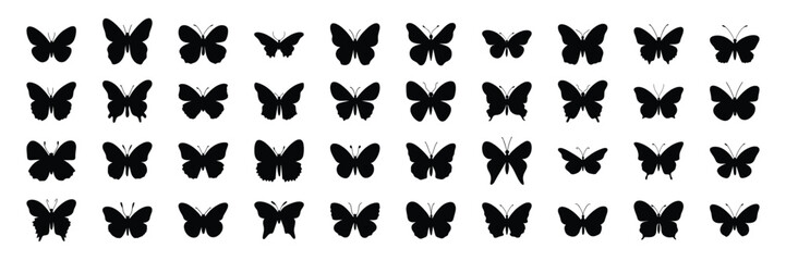 Fototapeta na wymiar Large set of silhouette butterfly. Black silhouette of butterfly isolated on white background. Vector illustration.
