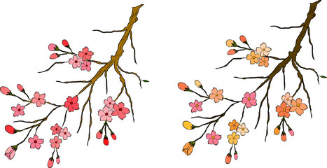 Free hand Sakura flower vector set, Beautiful line art Peach blossom isolate on white background.Cherry blossom illustration set.Element for weding card or printing on backdrop.