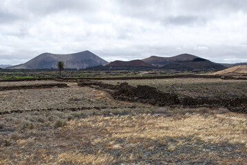 Obraz na płótnie Canvas Landscape of a sea of volcanic lava in Lanzarote, Canary Islands, Spain