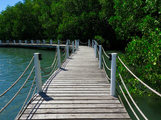 Naklejka premium Wooden bridge. Pier by the sea. A wooden pier with a rope railing leads along the sea and trees.
