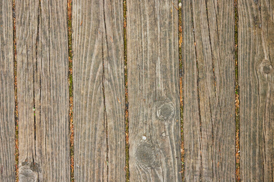 Weather worn wooden planks on path with moss growing between slats background asset