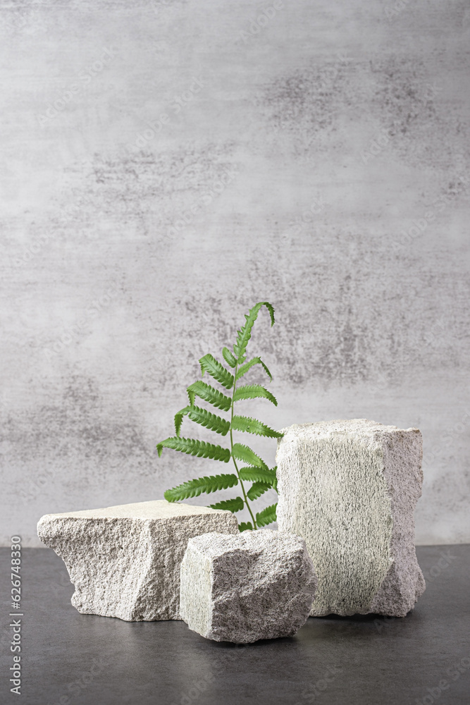 Poster rough stone and fern with sunlight from window on concrete wall and floor background,copy space for 