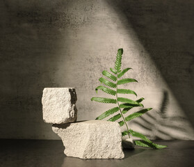 Rough stone and fern with sunlight from window on concrete wall and floor background,Copy space for...