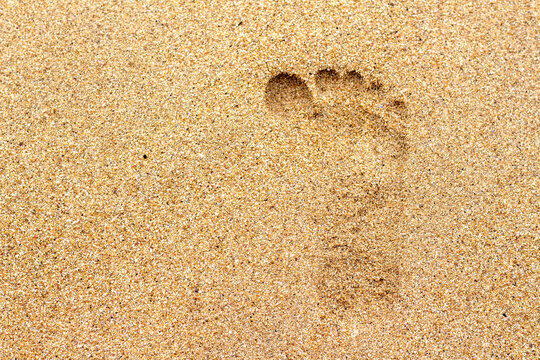 footprints of small children on the beach sand