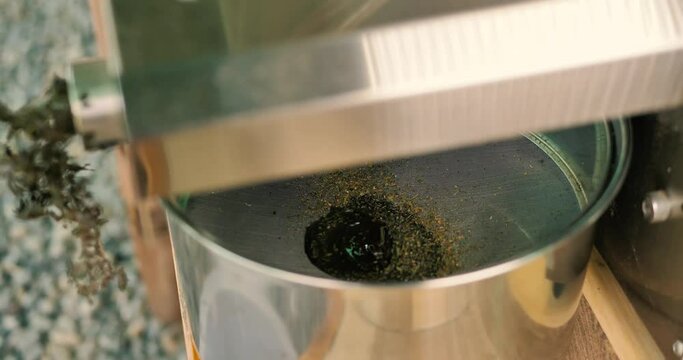 Organic oil press machine producing oil from seeds. 4k, slowmo