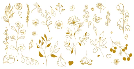 Abwaschbare Fototapete Set of hand drawn calligraphic floral elements  golden color. Vector illustration © Елена Явонова