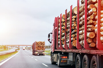Timber Truck Transporting Logs. Exporting Wood on a Highway with a Trailer Full of Logs. A truck is transporting logs on a semi-trailer on a suburban asphalt highway on a summer day.