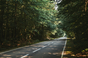 Fototapeta premium Landscape with empty asphalt road through woods in summer. Beautiful rural asphalt road scenery. Beautiful roadway. Trees with green foliage and sunny sky.