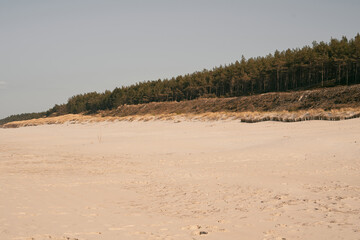 Fototapeta na wymiar Empty sea shore in the morning. Baltic Sea sand beach. Concept of vacationing.