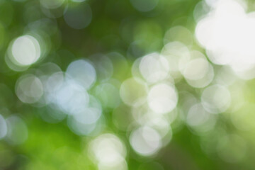 Green bokeh on a blurred background Natural green bokeh from leaves