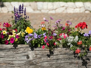dolomite dolomites apls italy