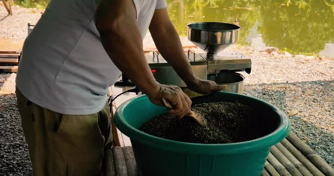 Asian man mixing various seeds in countryside.  flax seeds, pumpkin seeds, cannabis, cumin. 4k, slowmo
