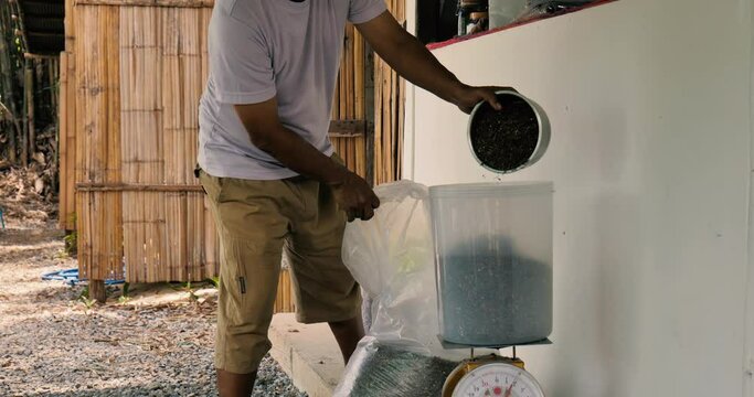 Asian man weighing seeds such as pumpkin seeds, gunks, cur, cumin. Slowmo, 4k