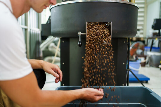 Professional male and female coffee roasters working with modern automated roasting machine in the coffee roasting factory. Coffee roasters checking or inspecting the roasting quality of coffee bean.