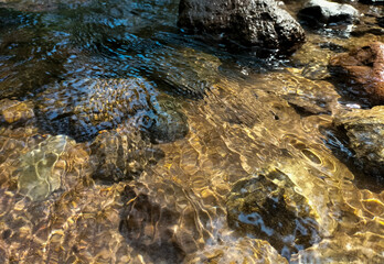A view of the flowing river water and the abundance of rocks. The atmosphere is still natural with trees growing along the river path. Selective focus. 
