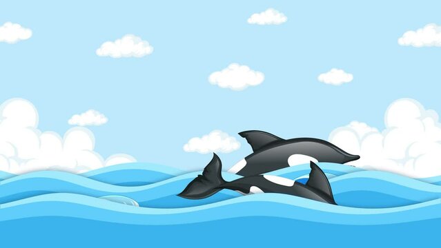 Motion Graphic of Orca Whale Swimming in Ocean Waves