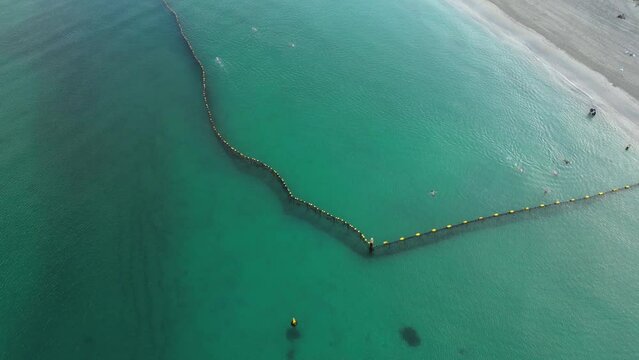 People swimming at morning into shark protective net, Coogee Beach in Australia. Aerial tilt-down forward