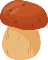 Boletus Edulis Mushroom Plant