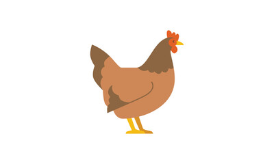 chicken hen flat vector illustration isolated on white background