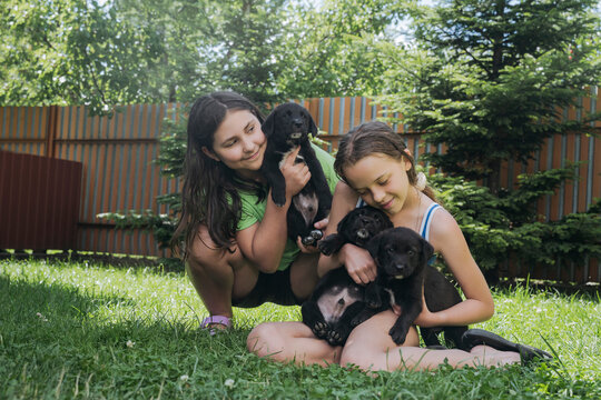 Smiling friends playing with dogs in back yard