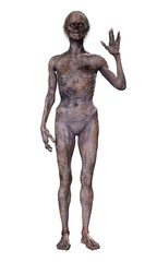 Zombie on transparent background, 3d render