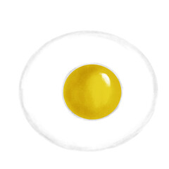 fried egg on a white plate