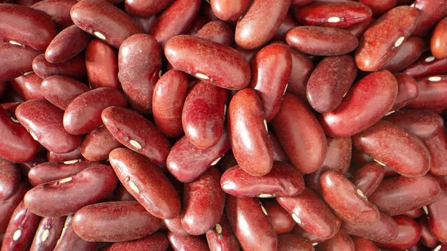 Red kidney beans - vibrant, kidney-shaped legumes. In this macro video, explore their rich texture and deep red hue, enticing you to savor their nutritious taste. Food concept. Beans background
