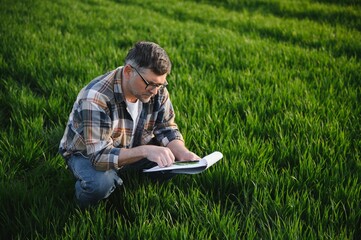 Naklejka na ściany i meble Experienced and confident farmer on his field. Portrait of senior farmer agronomist in wheat field.