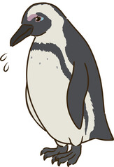 悲しむケープペンギン