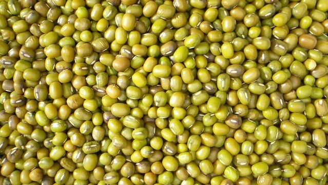 The video showcasing a bunch of mung bean seeds, revealing their small, ovular shape and vibrant green color. The surface of the seeds becomes visible, imperfections that make each seed distinct.
